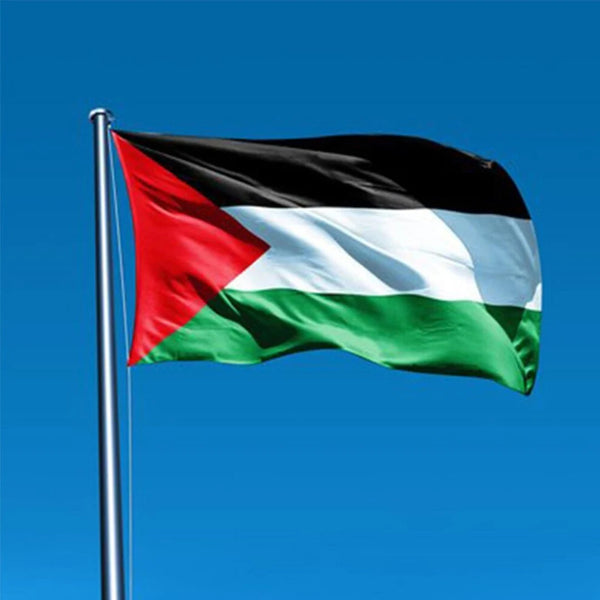 Palestine Flag 5' x 3'