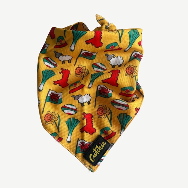 Bandana Ci Patrwm Cymreig - Maint Bach