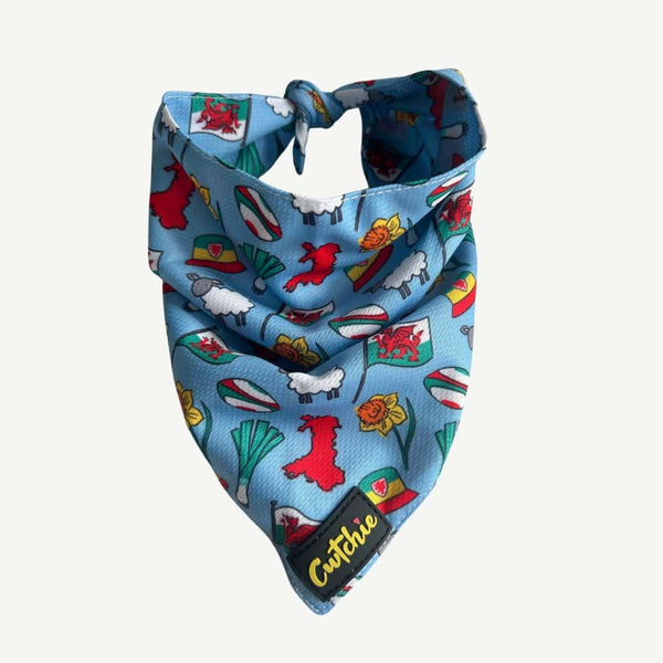 Bandana Ci Patrwm Cymreig - Maint Bach