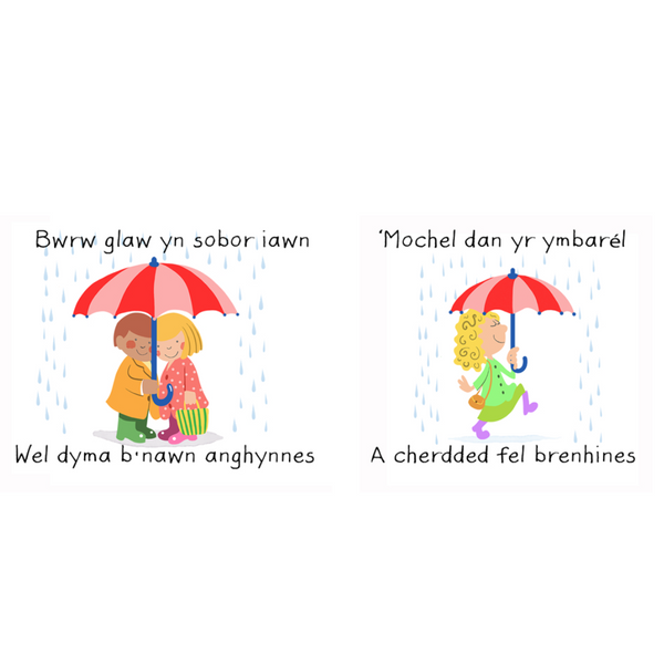 Bwrw Glaw yn Sobor Iawn Cup