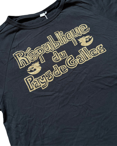 Adult's T-Shirt - République Pays de Galles - Shwl Di Mwl