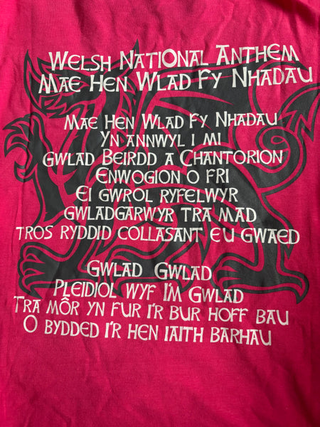 Ladies Pink Welsh Dragon Anthem T-shirt