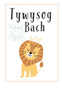 Tywysog Bach - Printiau Siriol