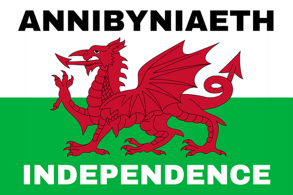 Wales Independence Flag 5' x 3.3' (150cm x 100cm) - Welsh Flags