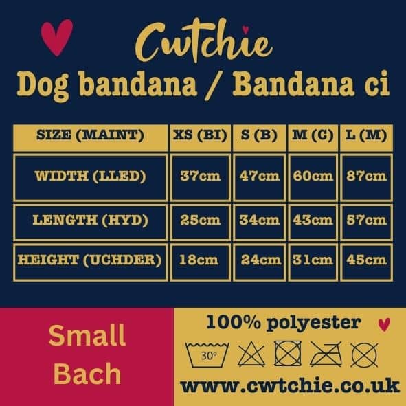 Bandana Ci Patrwm Cymreig - Maint Bach