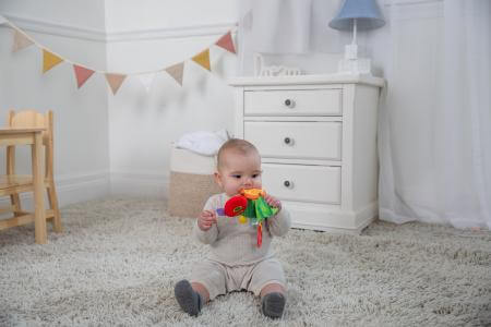 The Very Hungry Caterpillar crinkle toy with orange slice