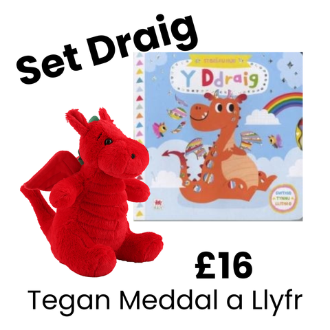Welsh Dragon Plush Toy and Story Book Set