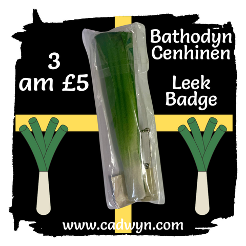 Welsh Leek Badge