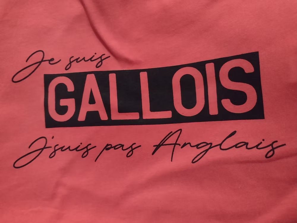 Adult's T-Shirt - Je Suis Gallois - Shwl Di Mwl