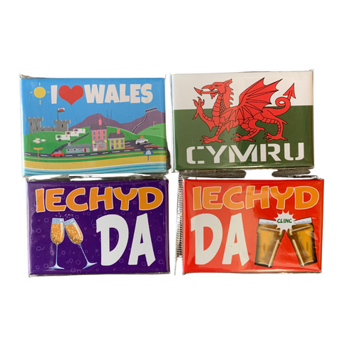 Iechyd Da Magnets - Pack of 4 Magnets