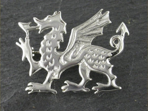 Silver on sale dragon brooch
