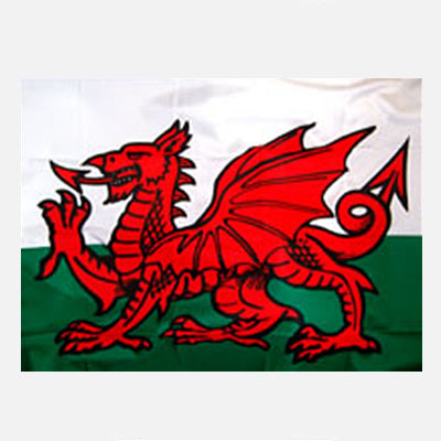 Baner Cymru Y Ddraig Goch 5' x 3'