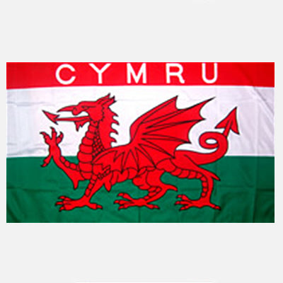 Baner Y Ddraig Goch Cymru 5' x 3'